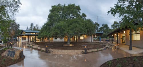 Oak Tree Quad
