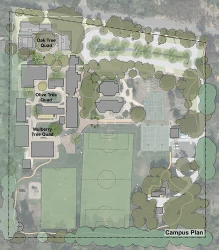 Oak Tree Quad